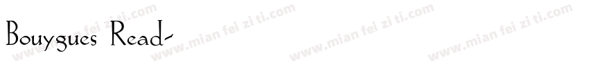 Bouygues Read字体转换